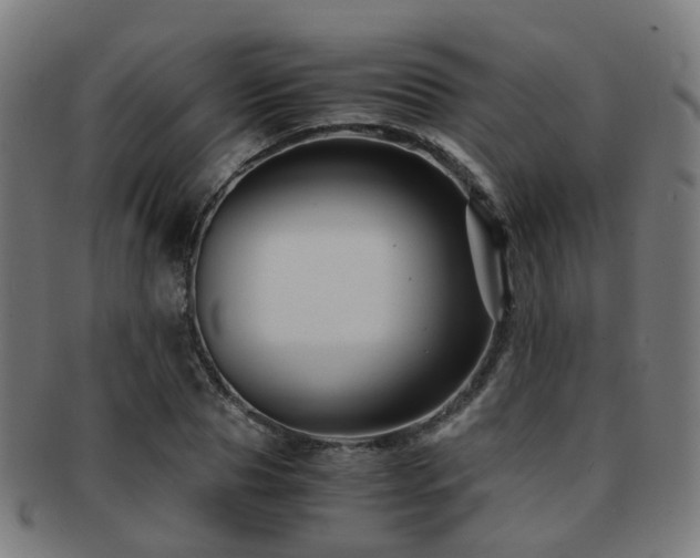 X0000091900929200709051400