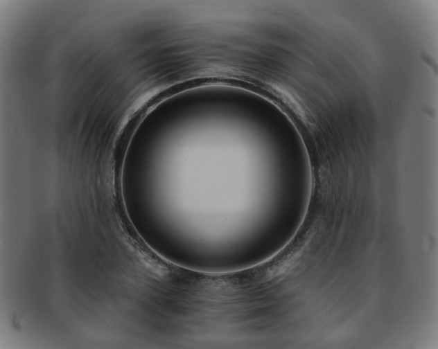 X0000091900931200709051400
