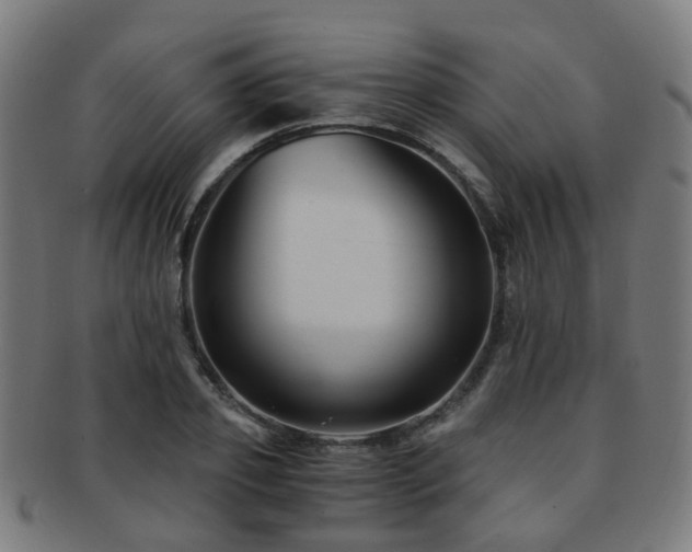 X0000091900933200709051400