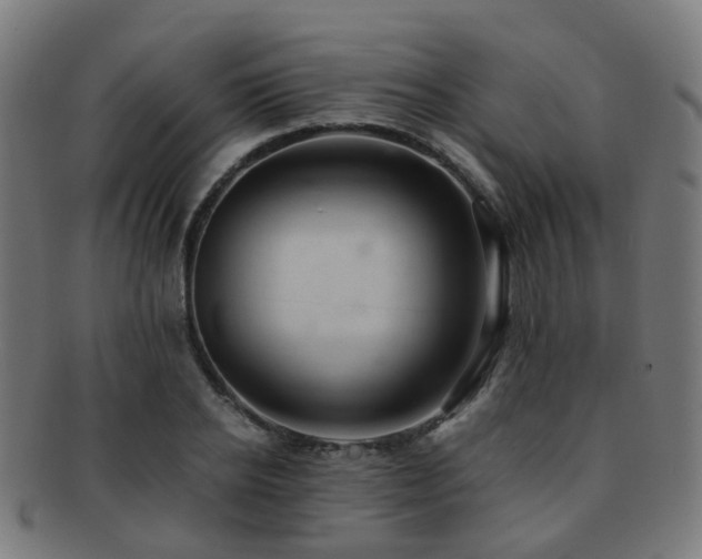 X0000091900934200709051400