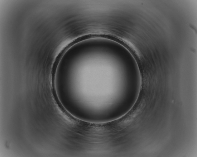X0000091900935200709051400