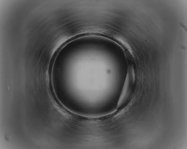 X0000091900936200709051400