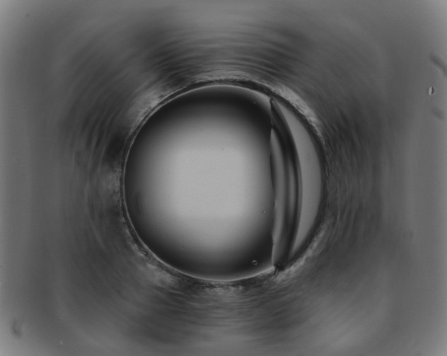 X0000091900937200709051400