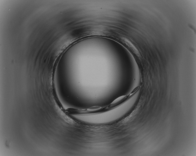X0000091900938200709051400