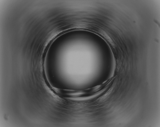 X0000091900939200709051400