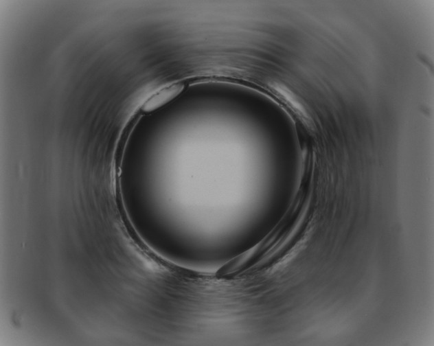 X0000091900940200709051400