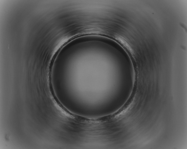 X0000091900941200709051400