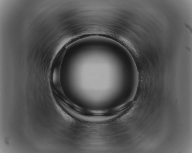 X0000091900942200709051400