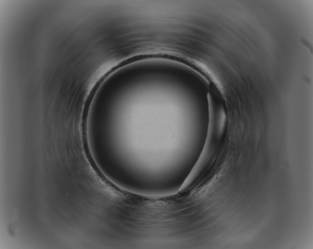 X0000091900943200709051400