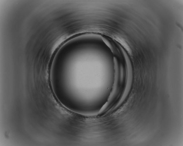 X0000091900944200709051400