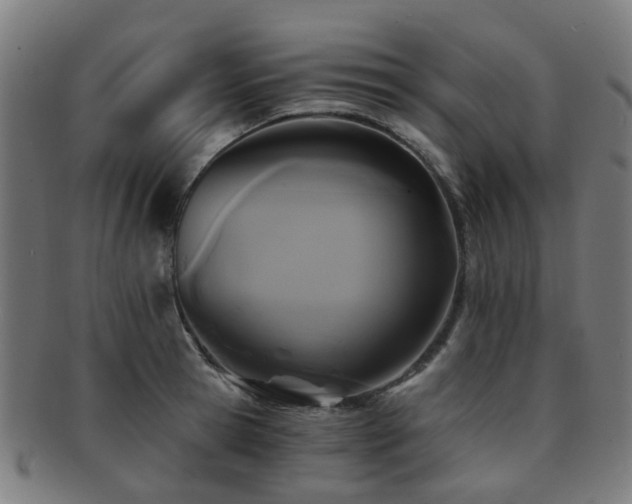 X0000091900945200709051400