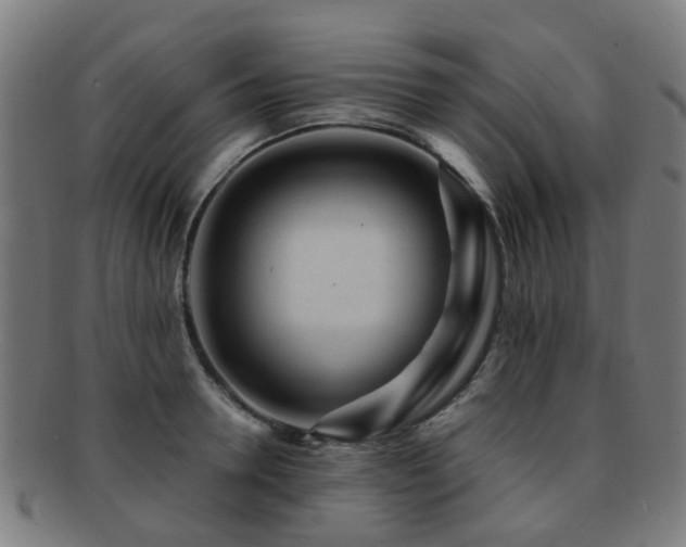 X0000091900946200709051400