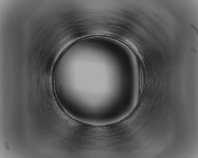 X0000091900947200709051400