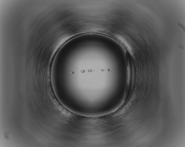 X0000091900948200709051400