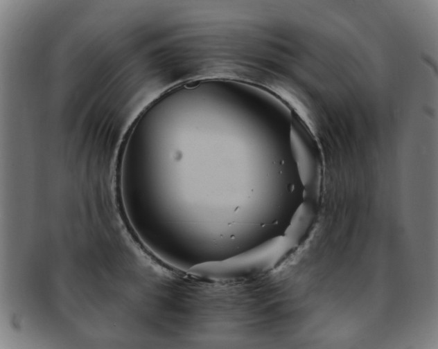 X0000091900949200709051400