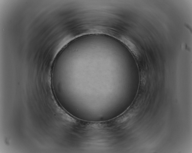 X0000091900950200709051400