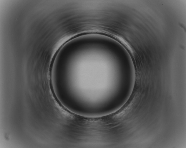 X0000091900951200709051400