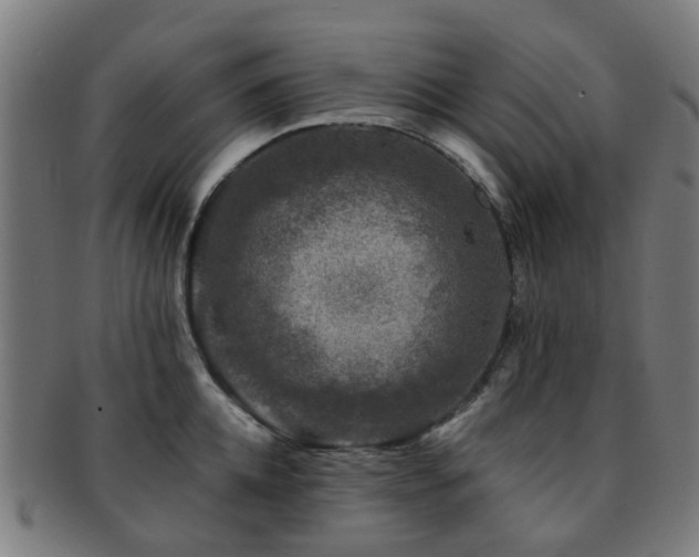 X0000091900952200709051400