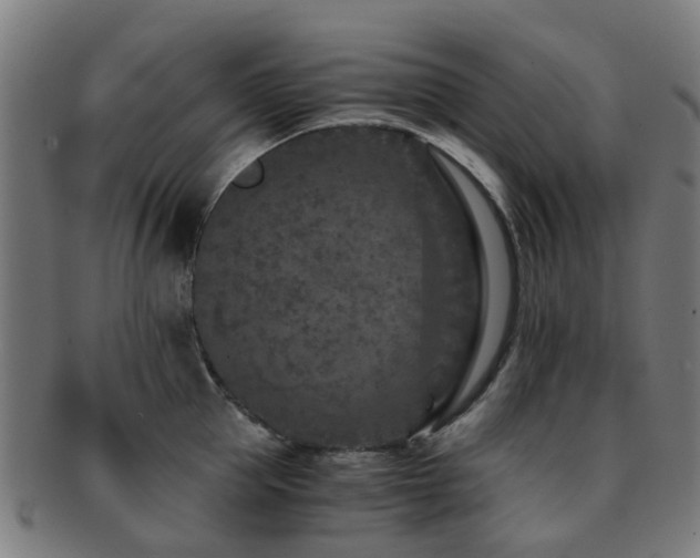 X0000091900953200709051400