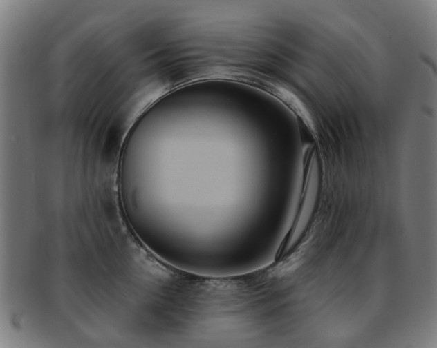 X0000091900954200709051400