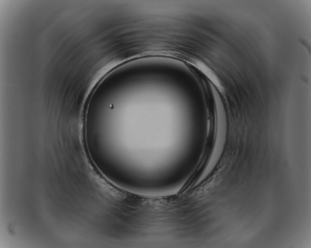 X0000091900955200709051400