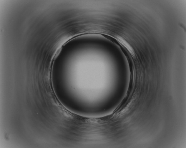 X0000091900956200709051400