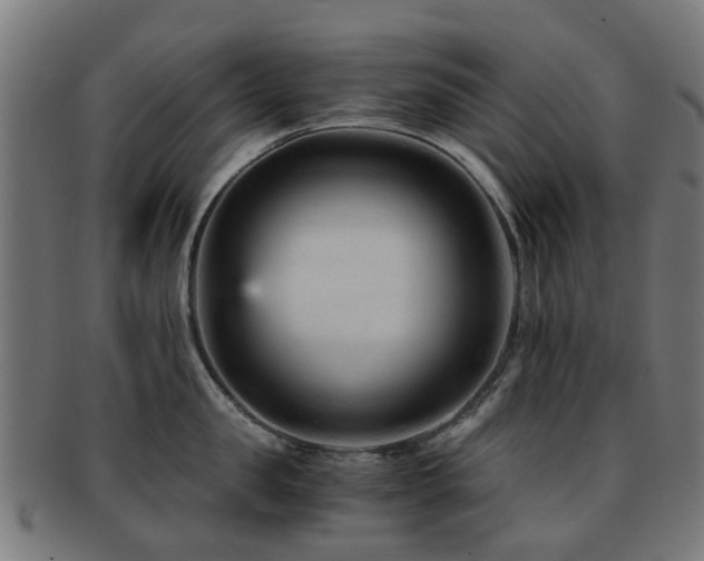 X0000091900957200709051400
