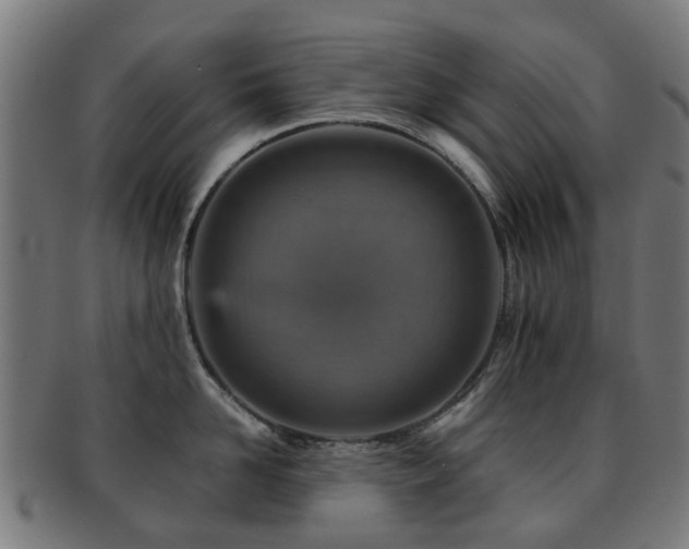 X0000091900958200709051400