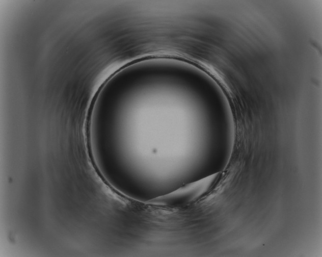 X0000091900959200709051400