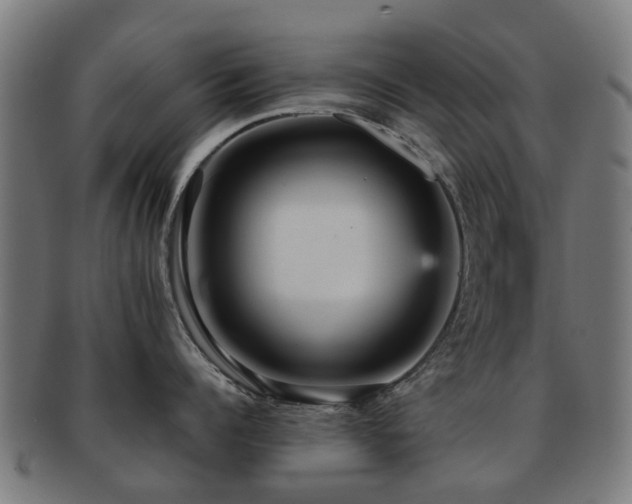X0000091900960200709051400