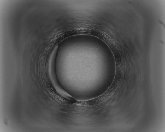 X0000091900961200709051400