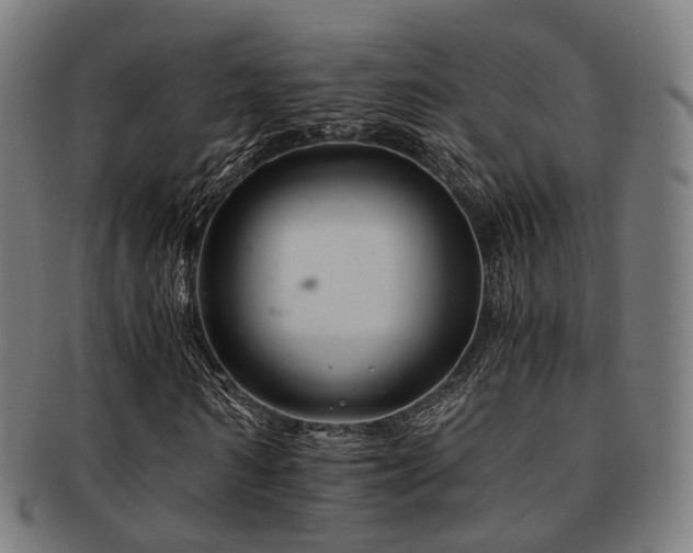 X0000091900962200709051400