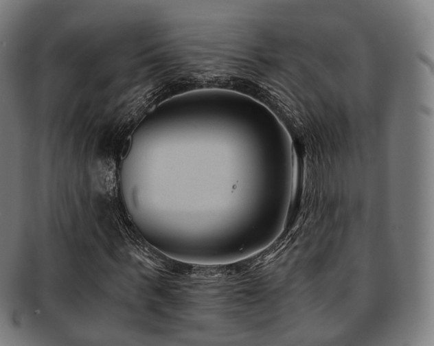 X0000091900963200709051400
