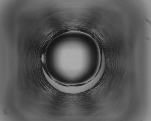 X0000091900964200709051400