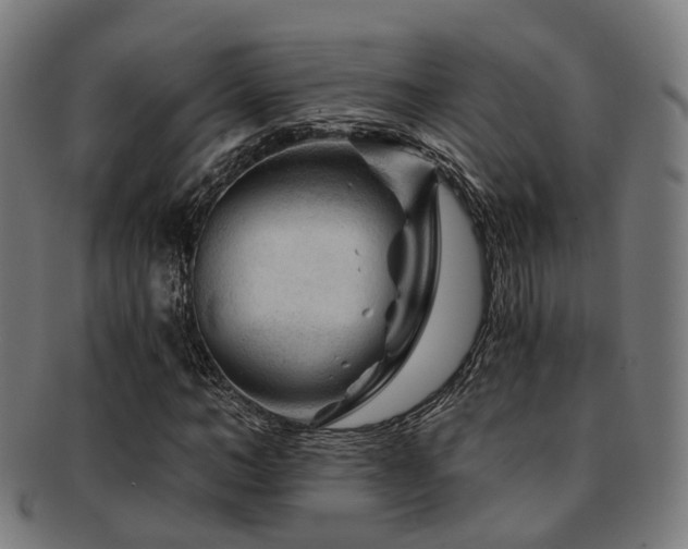 X0000091900966200709051400