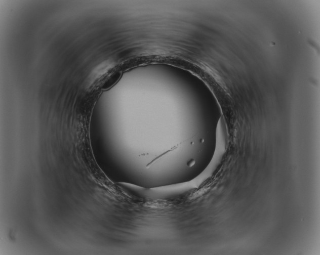 X0000091900967200709051400