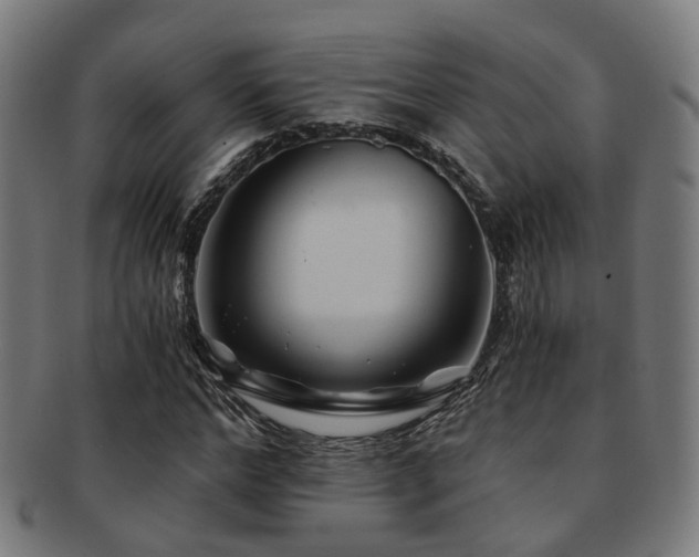X0000091900968200709051400