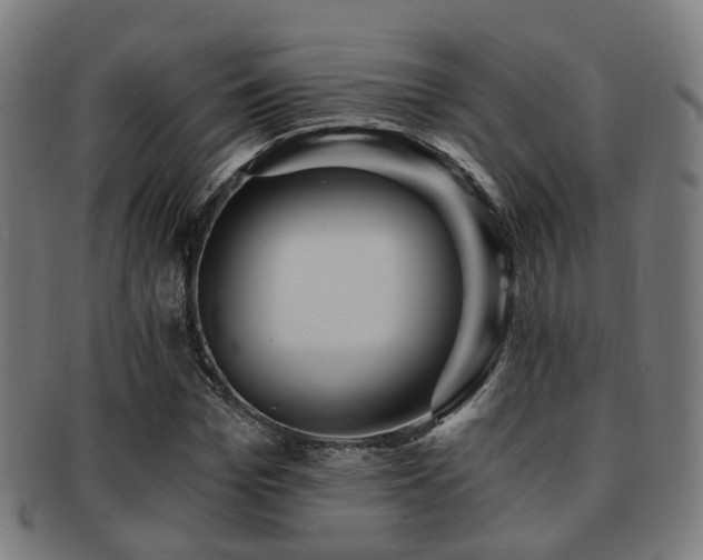 X0000091900969200709051400