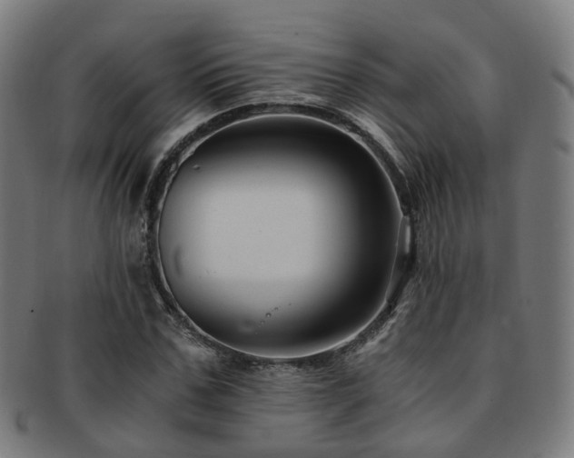 X0000091900971200709051400
