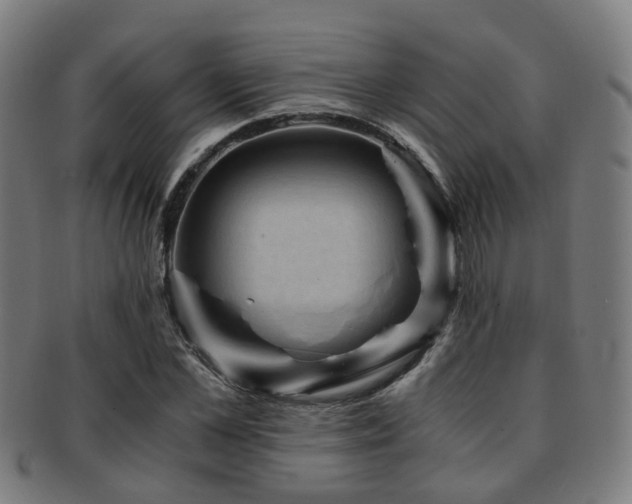 X0000091900973200709051400
