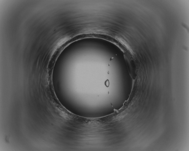 X0000091900974200709051400