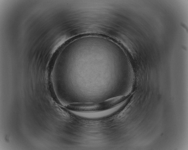 X0000091900975200709051400