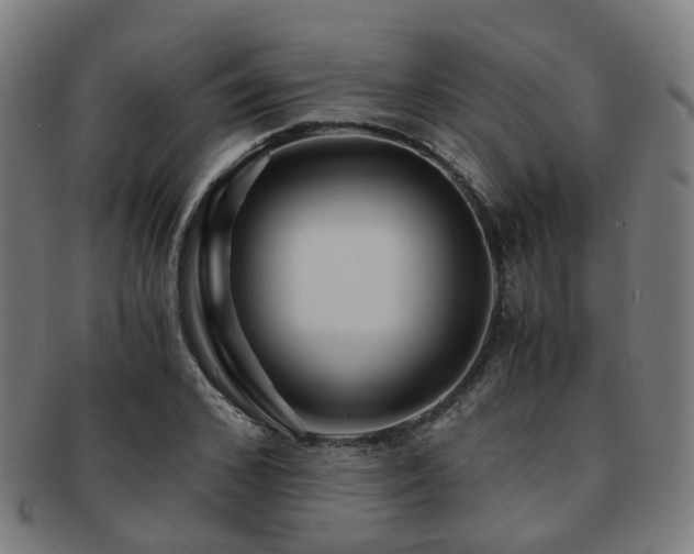 X0000091900976200709051400