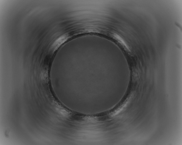 X0000091900977200709051359