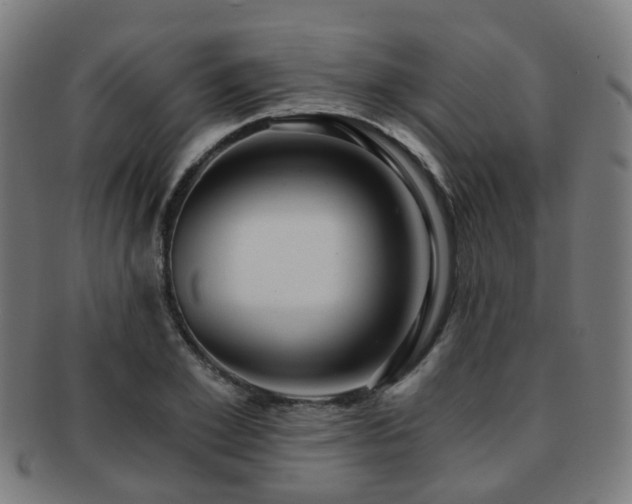 X0000091900981200709051359