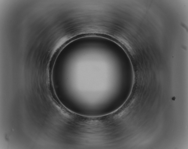 X0000091900982200709051359