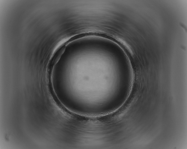 X0000091900983200709051359