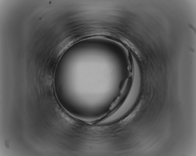 X0000091900985200709051359