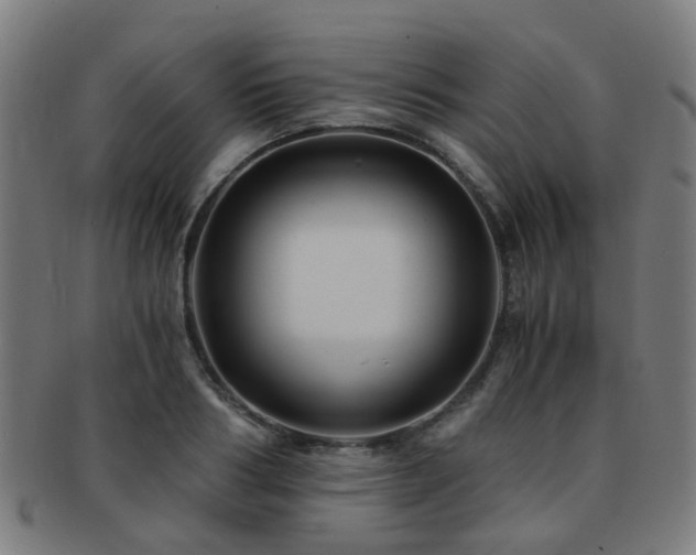 X0000091900986200709051359