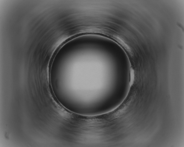 X0000091900988200709051359
